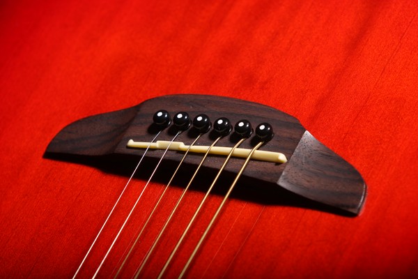 yamaha apx500