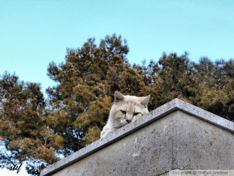 You can't climb up
