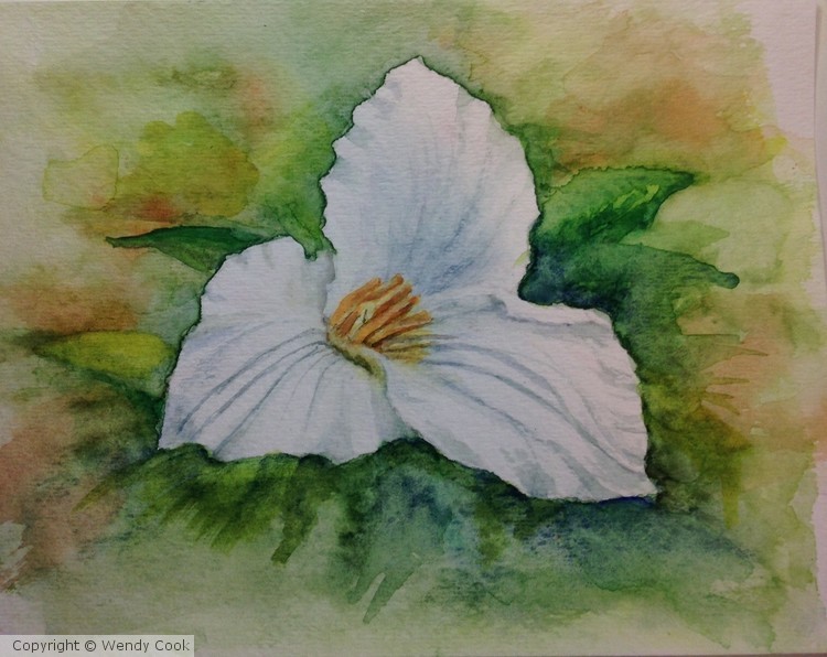 Trillium