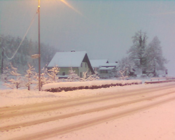 Snowy morning