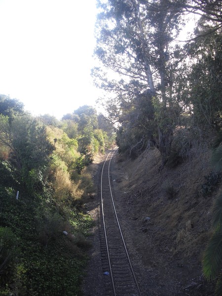  Curve Tracks 