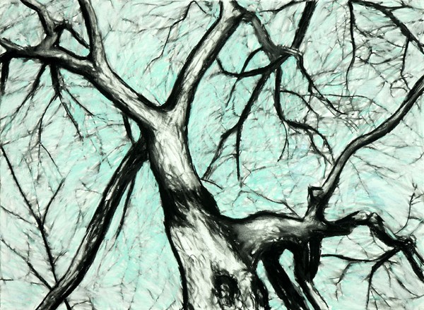 Stark Treetop