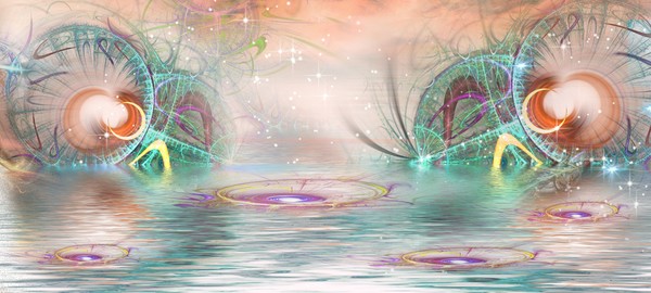lillies