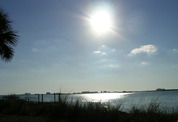 Overlooking Tampa Bay