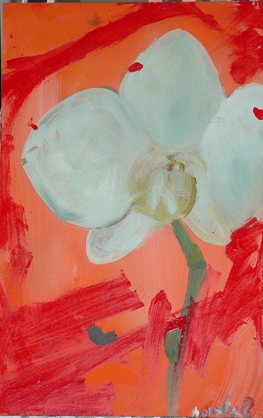 white orchid