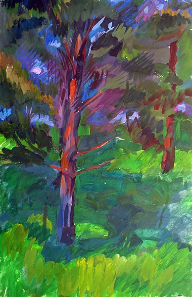 Pines at Kandava. Latvia. 1978