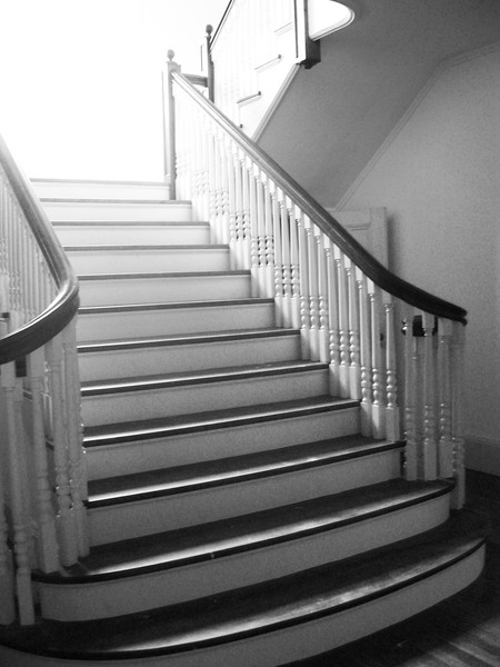 Dream Home