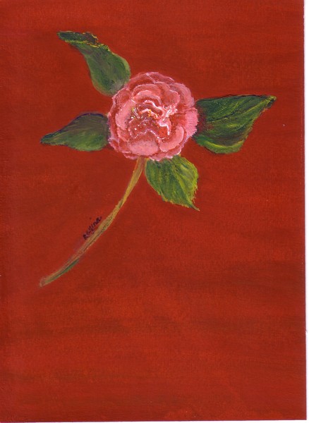 PINK CAMILLIA#2