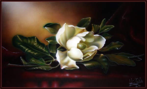 Magnolia