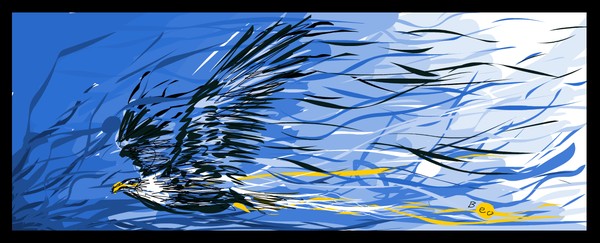 Eagle flying