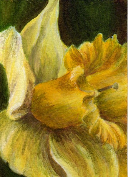Spring Bloom