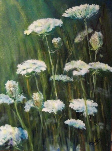 Queen Anne's Lace