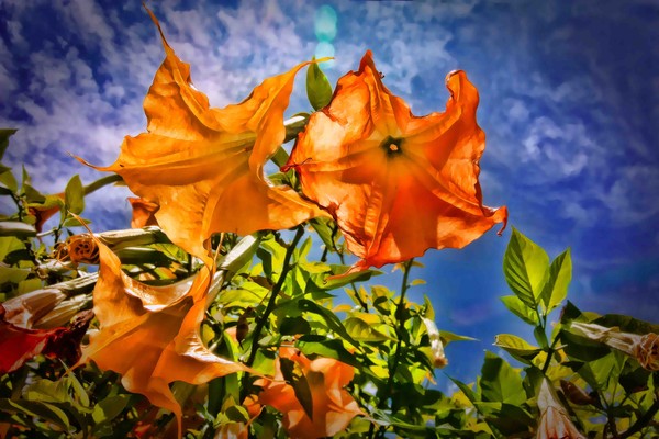 benicia spring