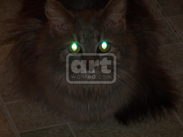 HELLCAT