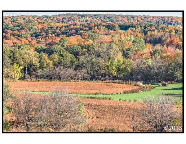 Rattlesnake Point
