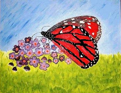 Butterfly