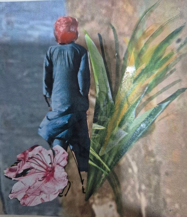 Collage no 31, Dec. 2024