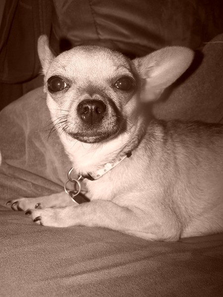 Lilly