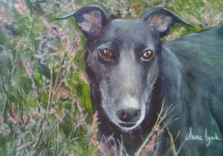 Grey Hound....sold