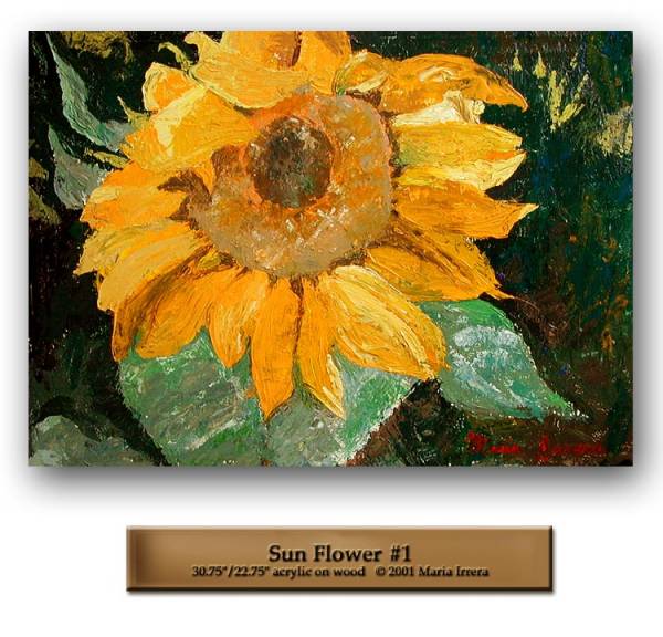 Sun Flower #1
