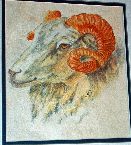 Rams Head