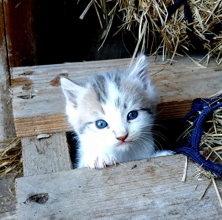 HELLO YOU !!!!!!!!!!!!