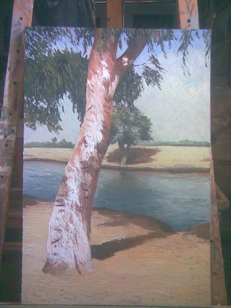 Landscape