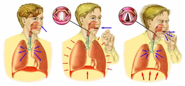 Coughing