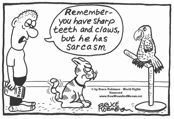 BOW WOWS & MEOWS® CAT Cartoon - 