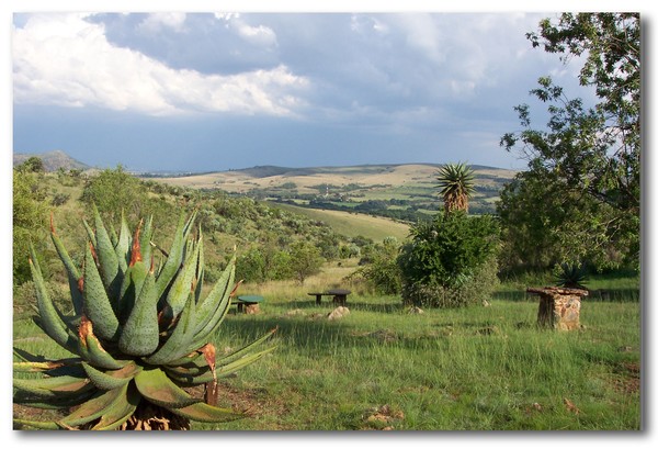 High veld afternoon
