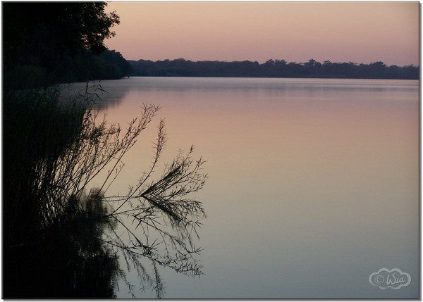 Sunrise over the Zambesi