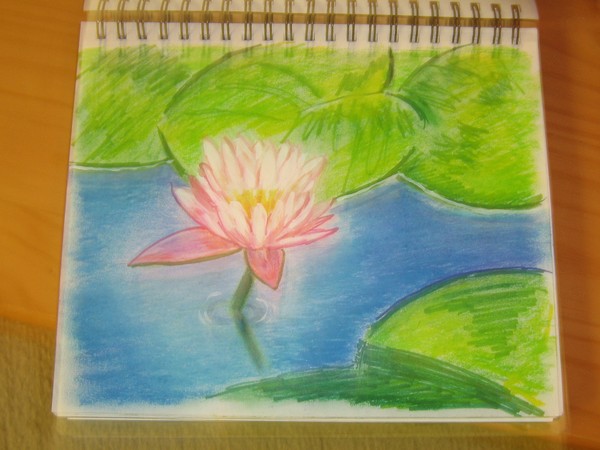Lily
