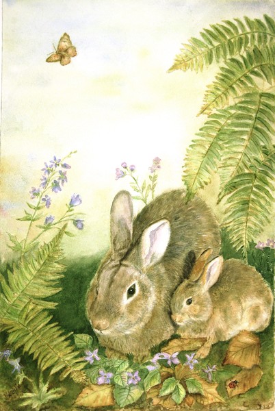 nestling bunnies
