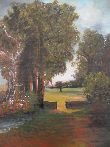 the corn field