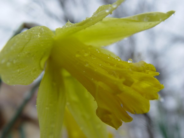 Fresh morning...