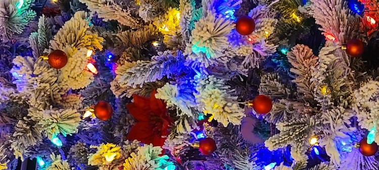 MERRY CHRISTMAS