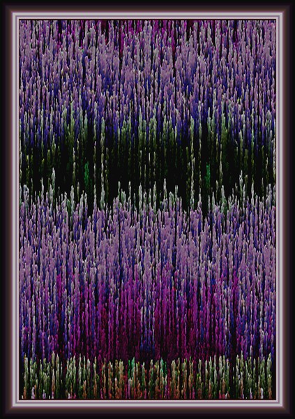 Lavender Garden