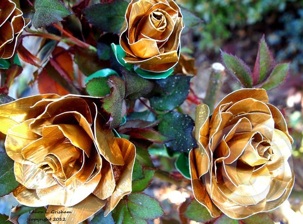 Midas Touch Duck Tape Roses