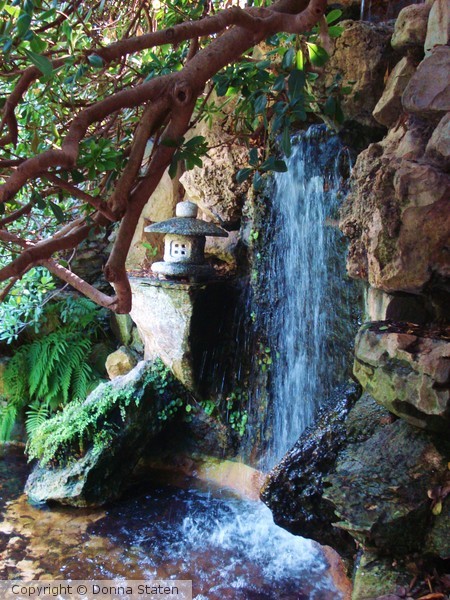 Waterfall, Zilker Gardens