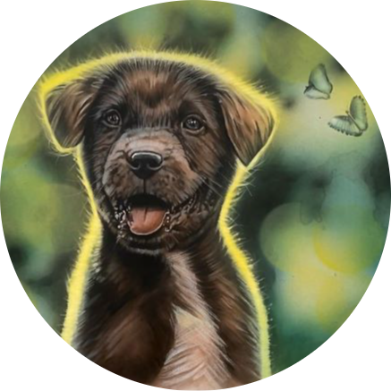 The Dog and Butterfly