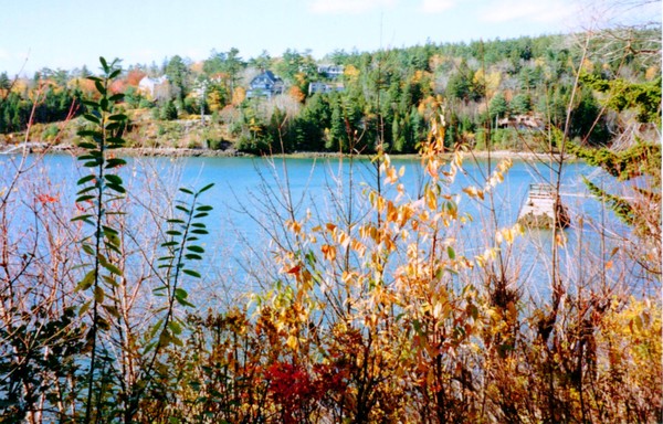 Flora and Fauna of Maine