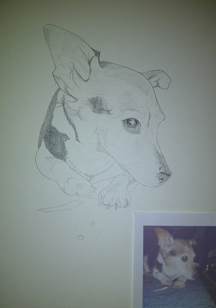 Dog 1