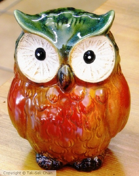 Owl