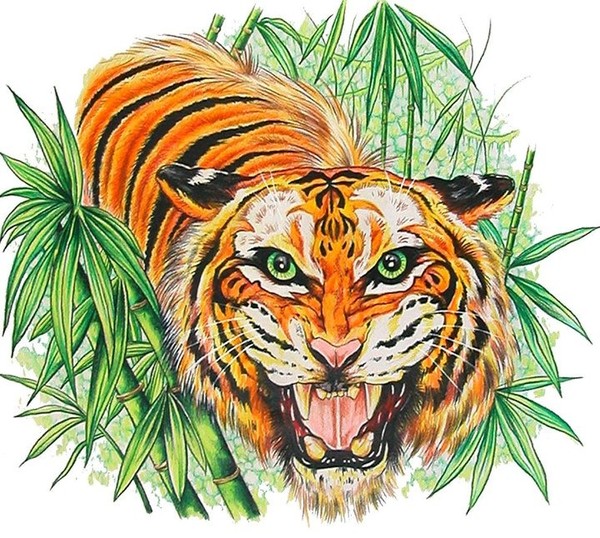 Tiger Roar