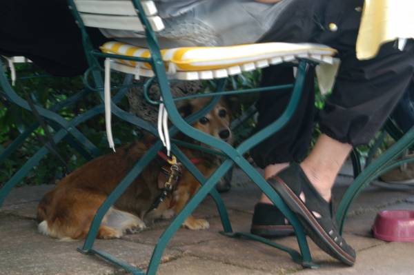 Undercover Agent in Baden Baden Germany