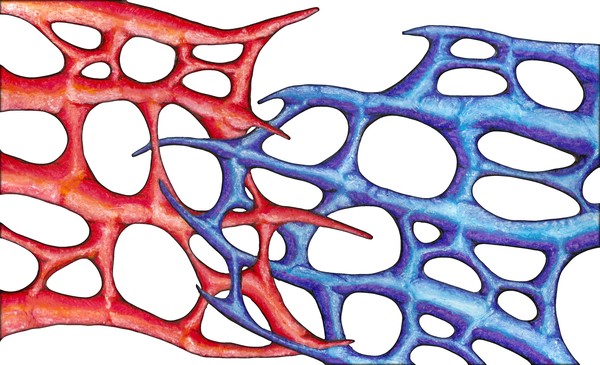 Arterial 01