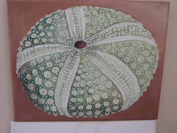 Shell 001