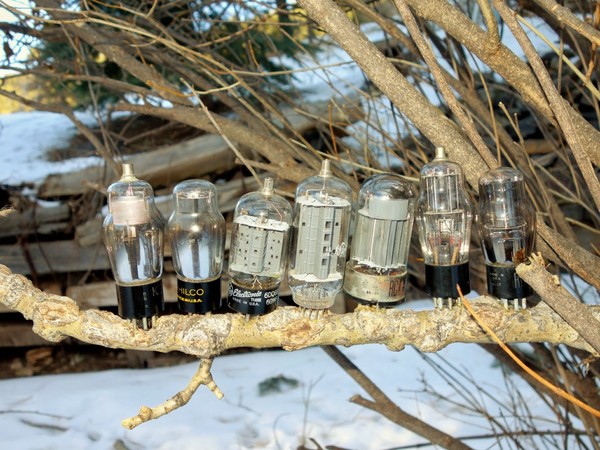 Tubes of a Feather