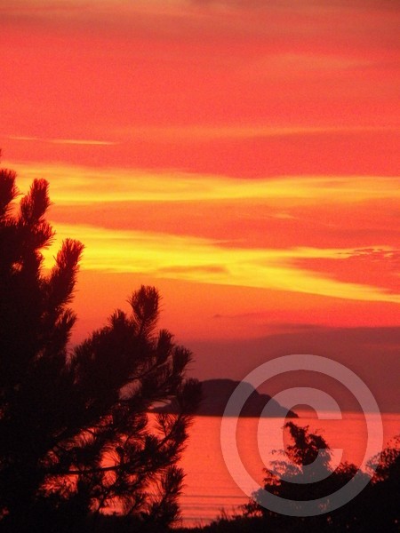 sunrise