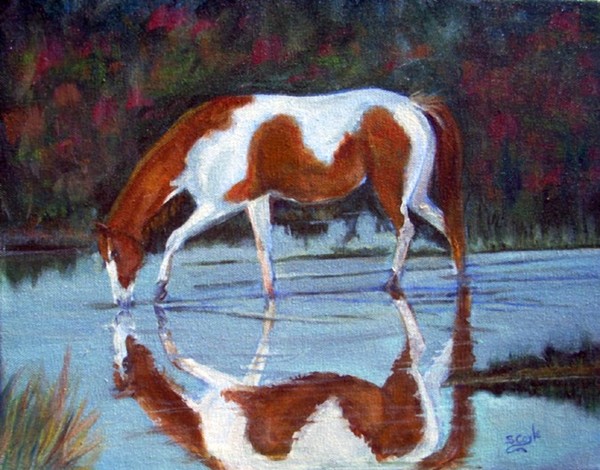 peaceful reflection